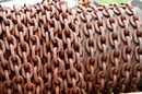 Rost