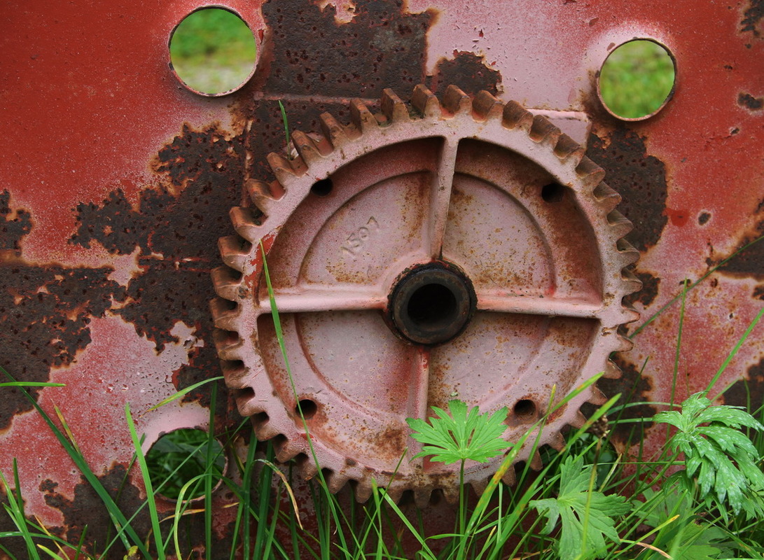 Natur und Technik