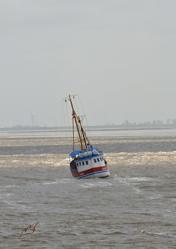 Schiff