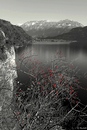 Ausblick