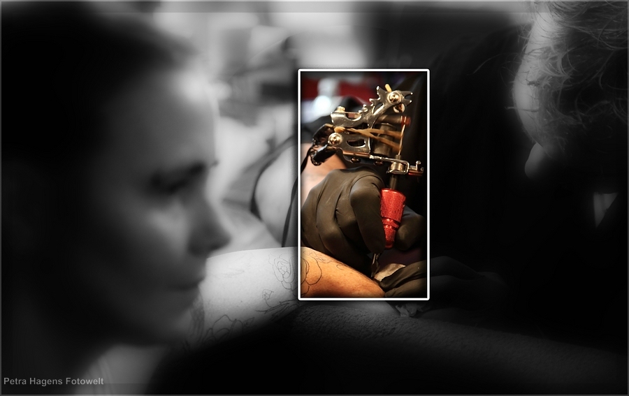 Der Stecher beim stechen :-)