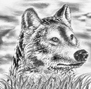Der Wolf_Version_02 (Bleistift)