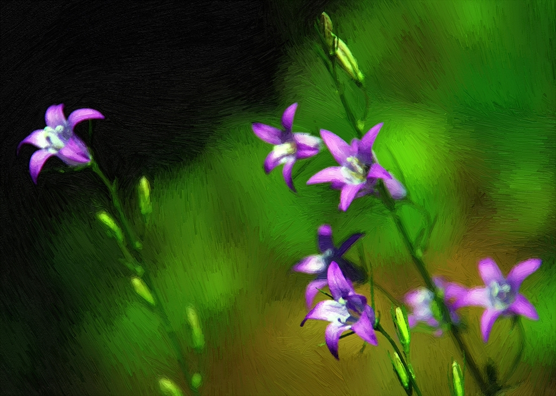 Die etwas andere Art......