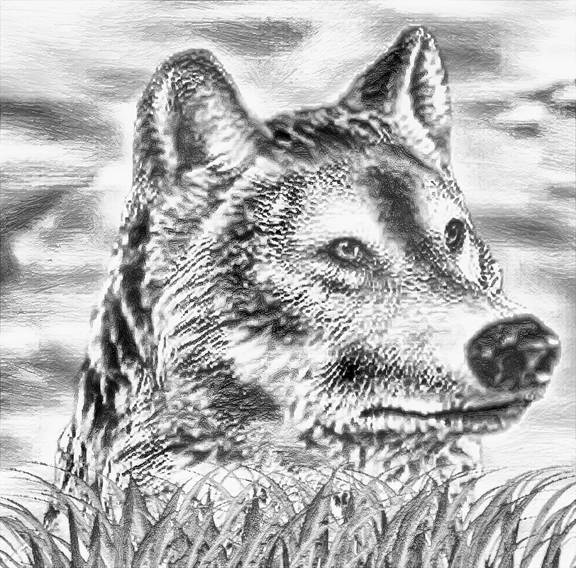 Der Wolf_Version_02 (Bleistift)