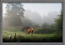 Fotos_HDRI / Tone Mapping / DRI