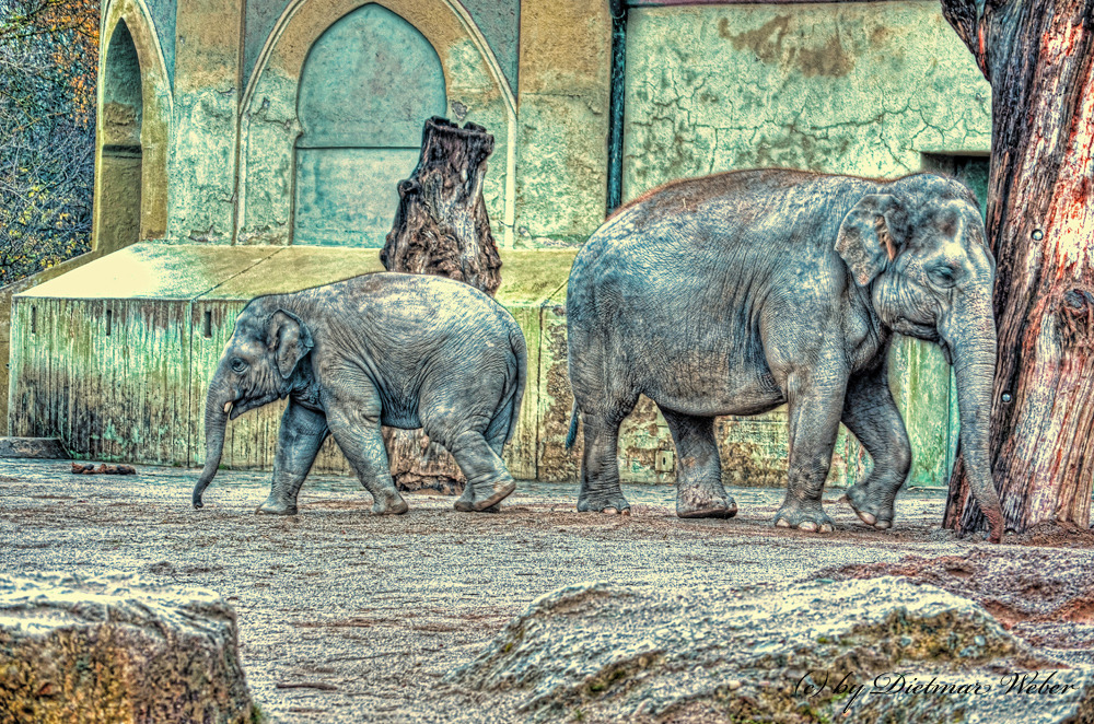 ein Pfad ..zwei Richtungen