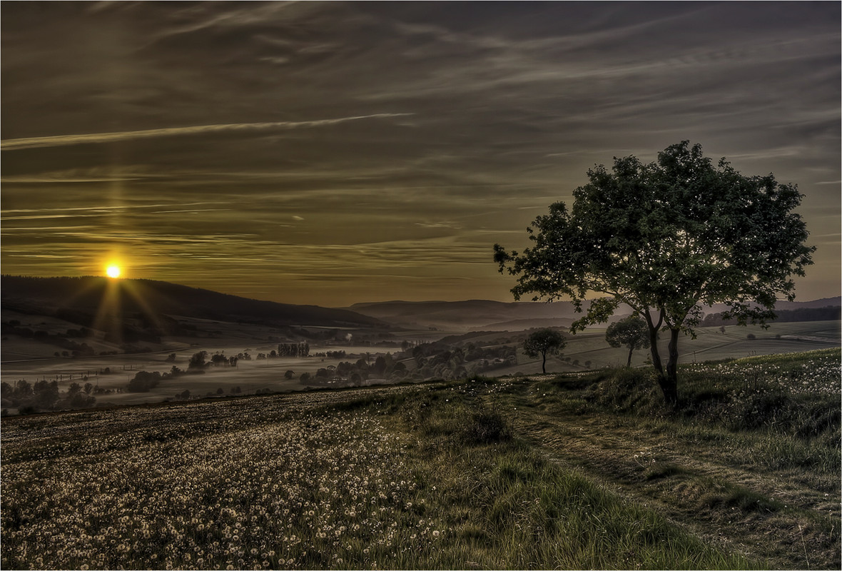 Die Welt erwacht...
