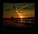 ...Fantasie