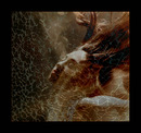 ...Fantasie II