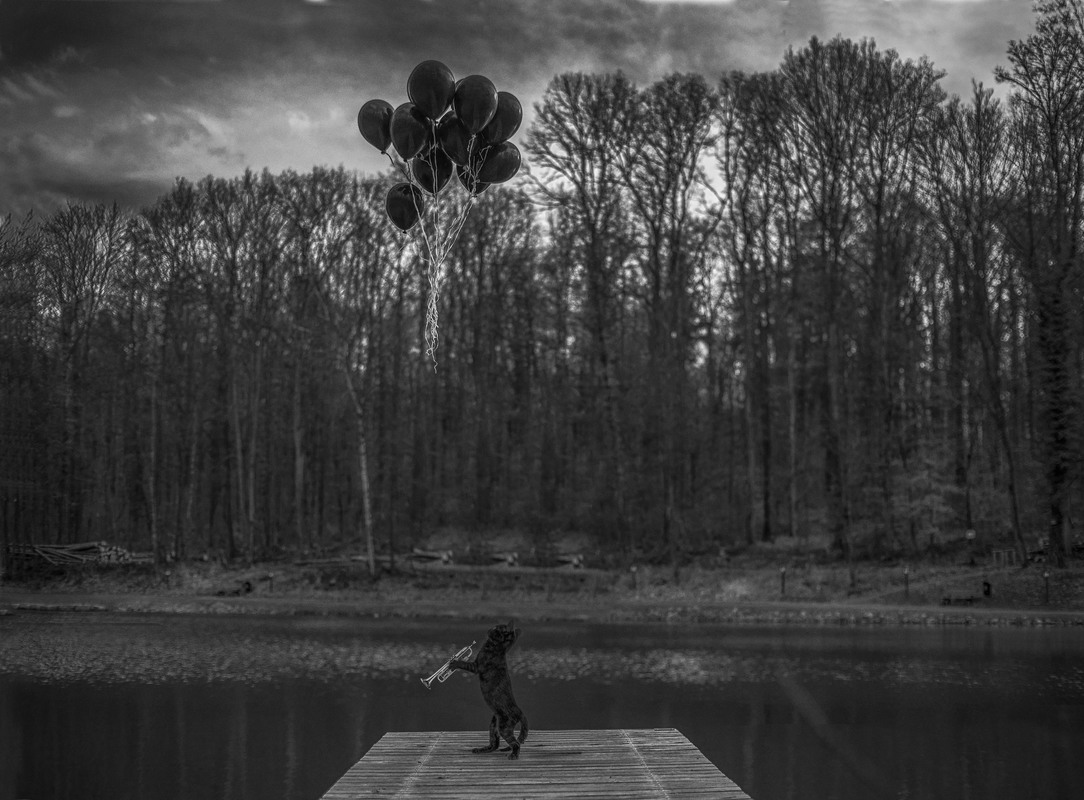 Softly As In A Morning Sunrise