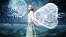 Fotos_Mystery / Fantasy