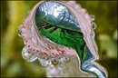Fotos_Mystery / Fantasy