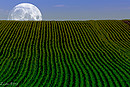 Fotos_Mystery / Fantasy