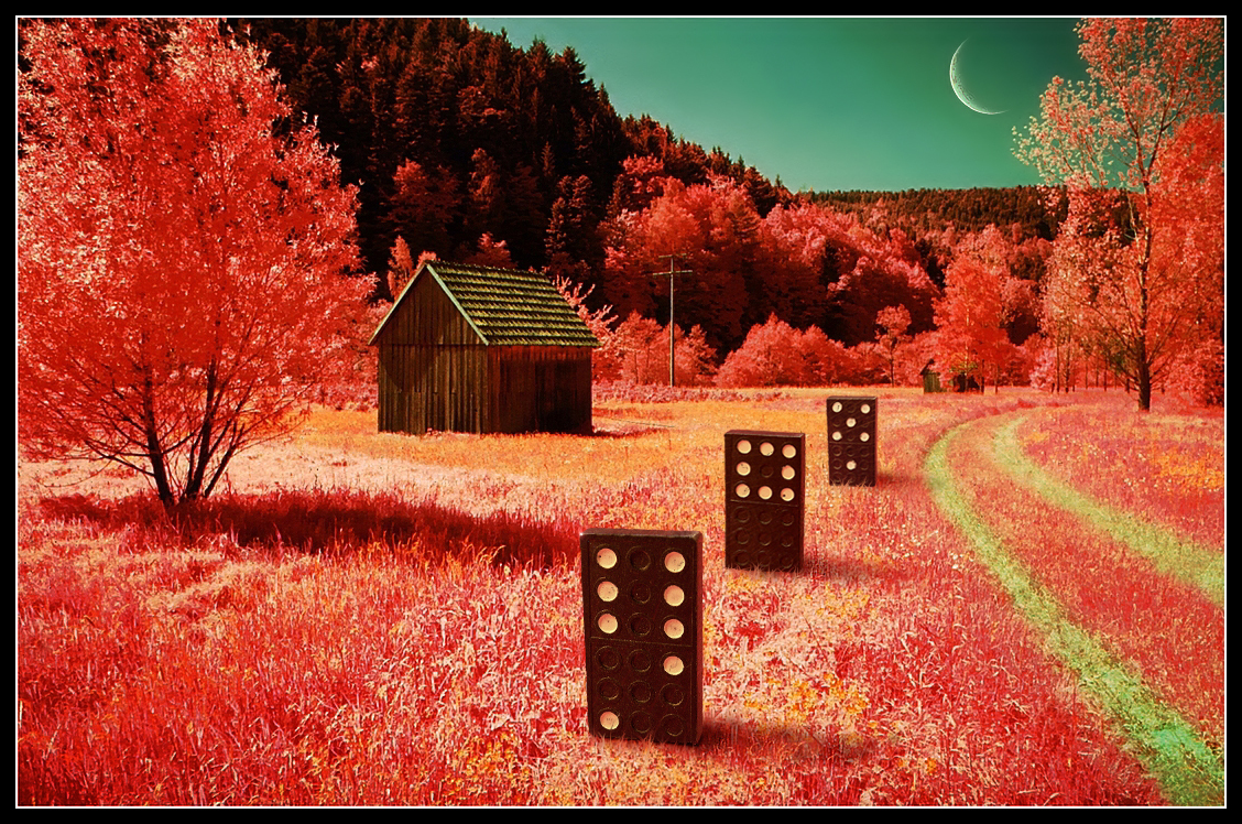 1 x Lebenlänglich (260851) der Tag meiner Geburt ! Ein Gedanke über Ankunft und Abschied !