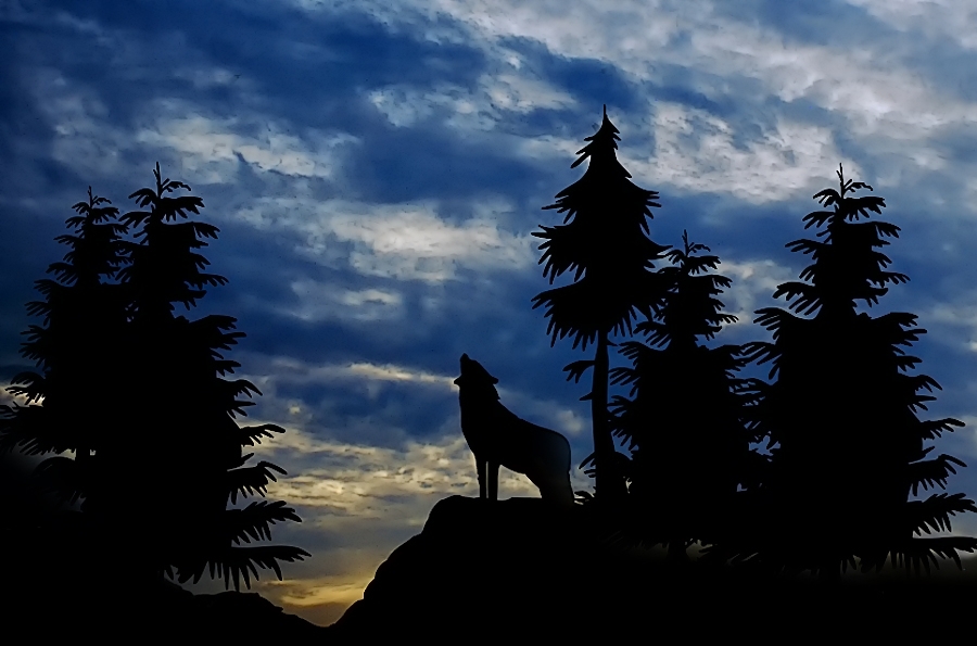 Der mit dem Wolf tanzt?