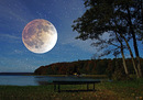 Mond über dem Stechlinsee