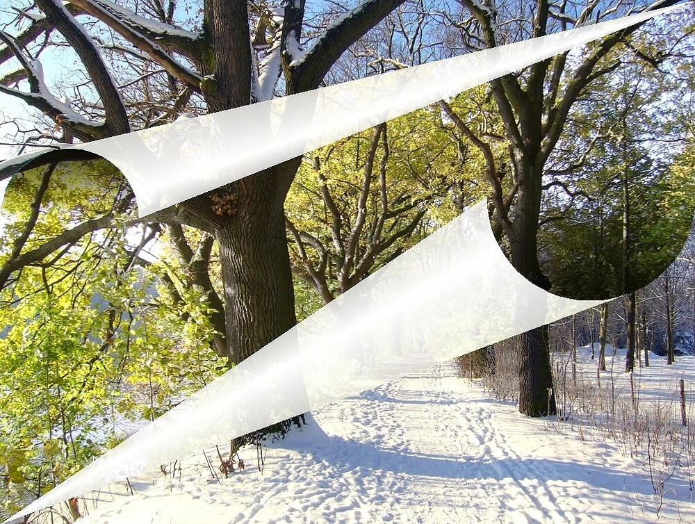 ...bald kommt der Schnee