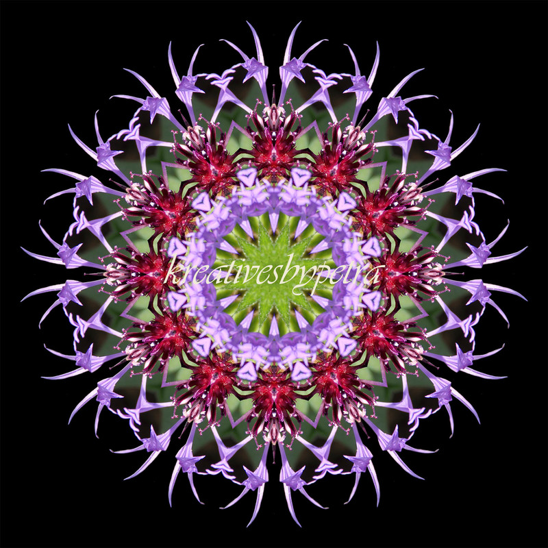 Mandala ''Kornblume''