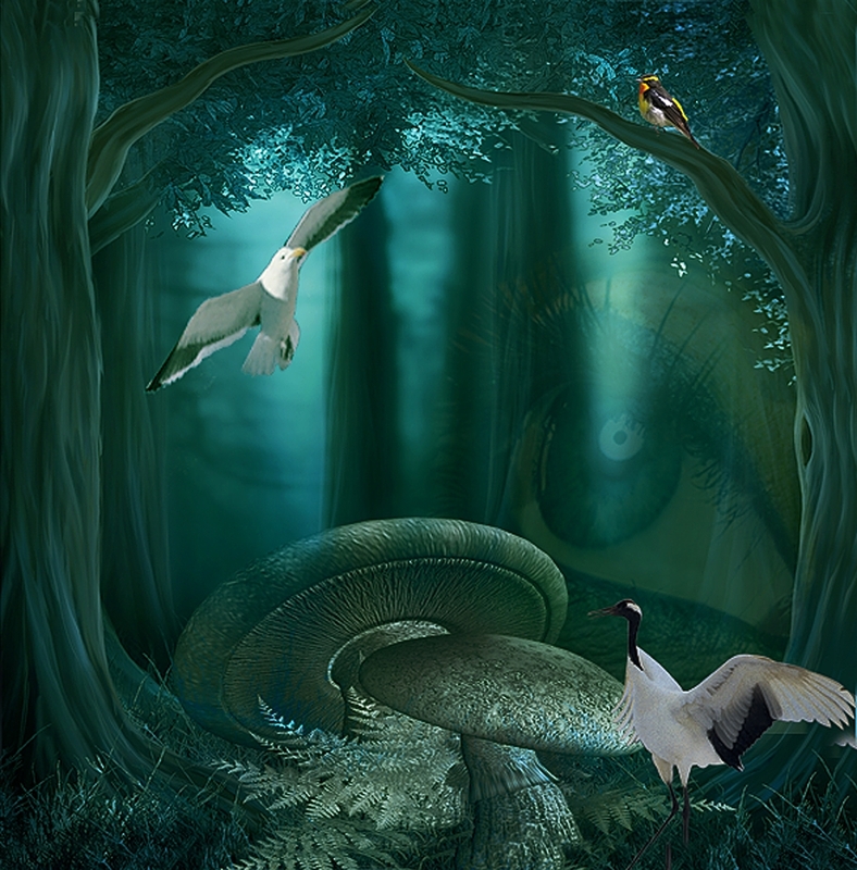 sometimes magic forest