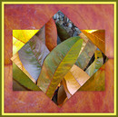 Pfirsich spielt Karo