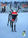 Frohe Weihnachten!