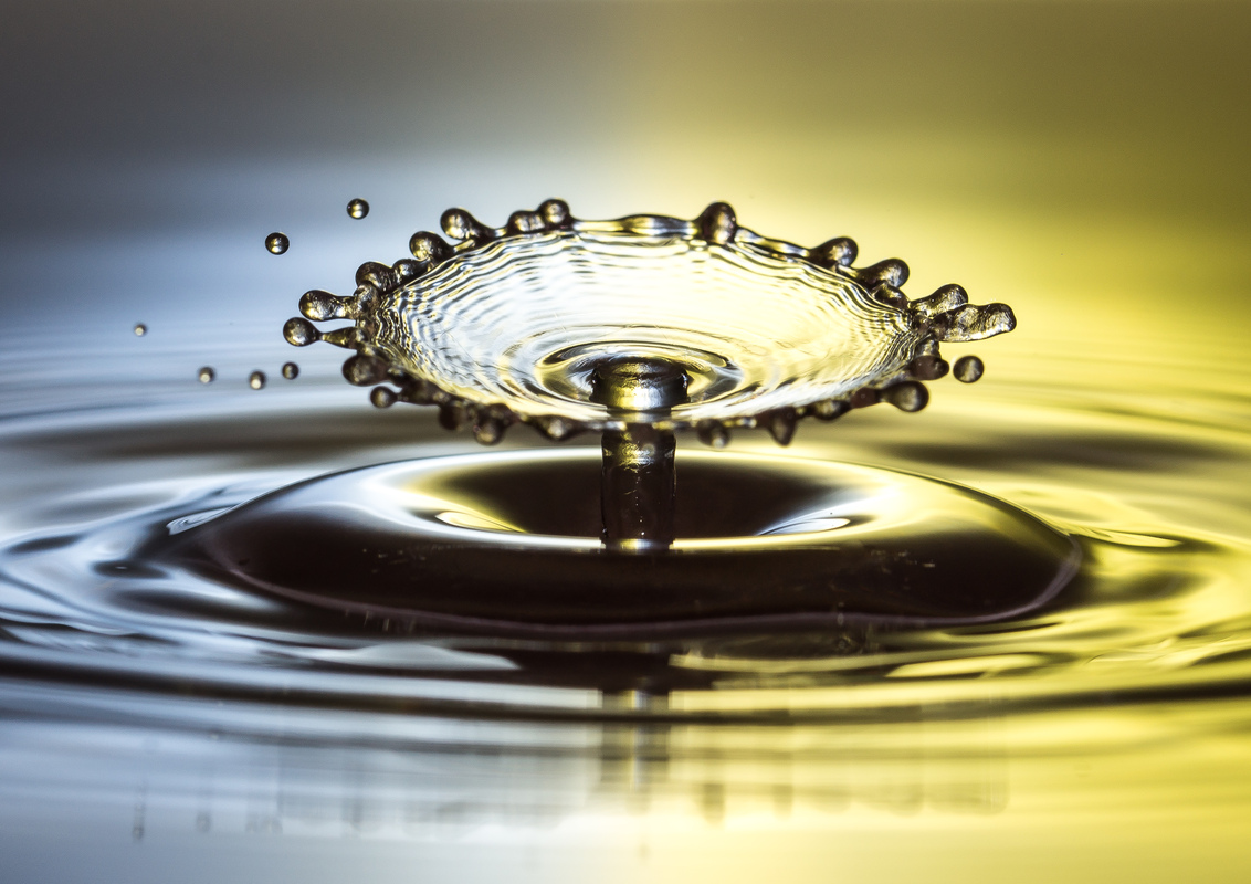 Ergebnisse Tat´s   III/III