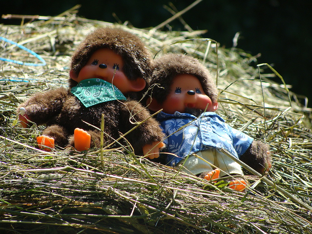 Gustav und sein Bruder Willi