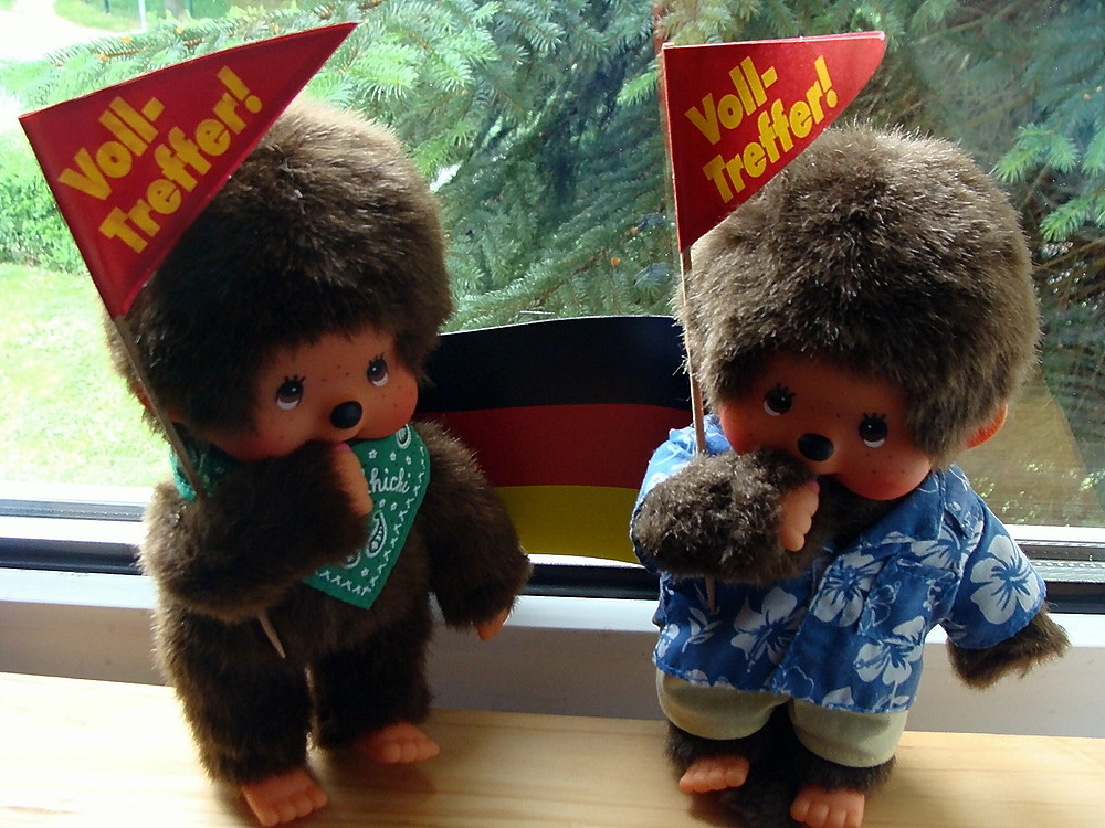 Gustav und Willi wollen zur WM