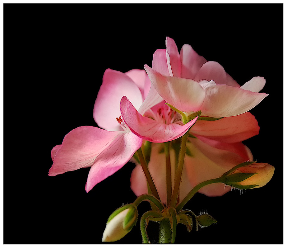 Farben für die Sinne.....