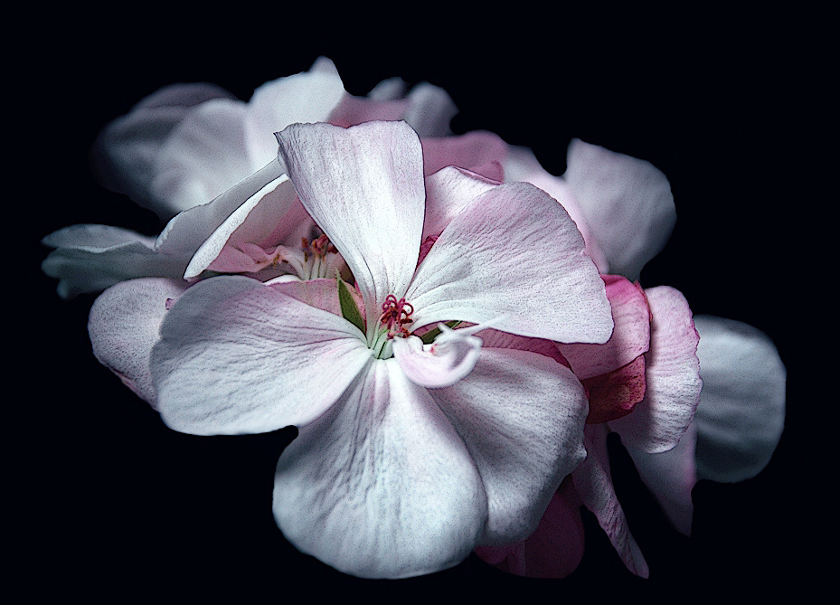 Ich wünsche allen ein schönes Wochenende.