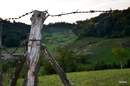 ewig währt ein Stacheldraht...