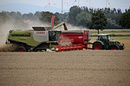 Voller Ernteeinsatz