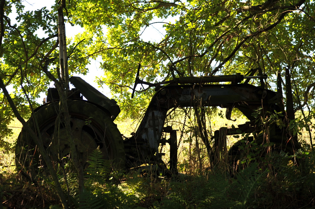 Die Zeit nagt ....alte Technik in schöner Natur 