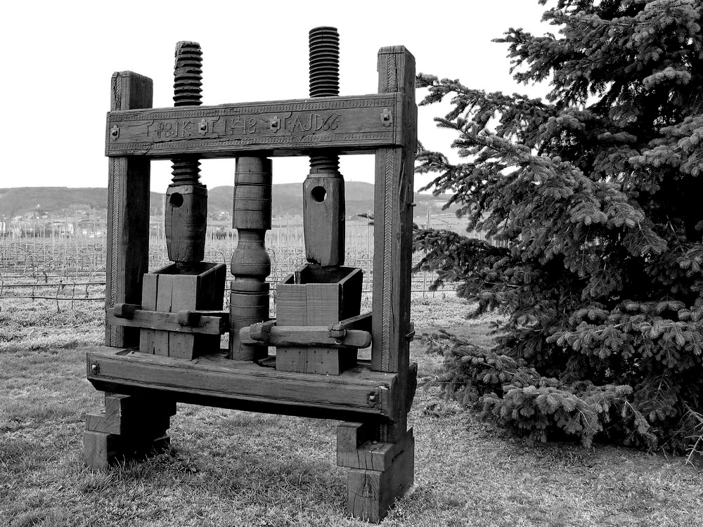 Weinpresse