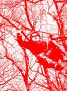 Action im Kletterpark