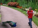 im Zoo... 2