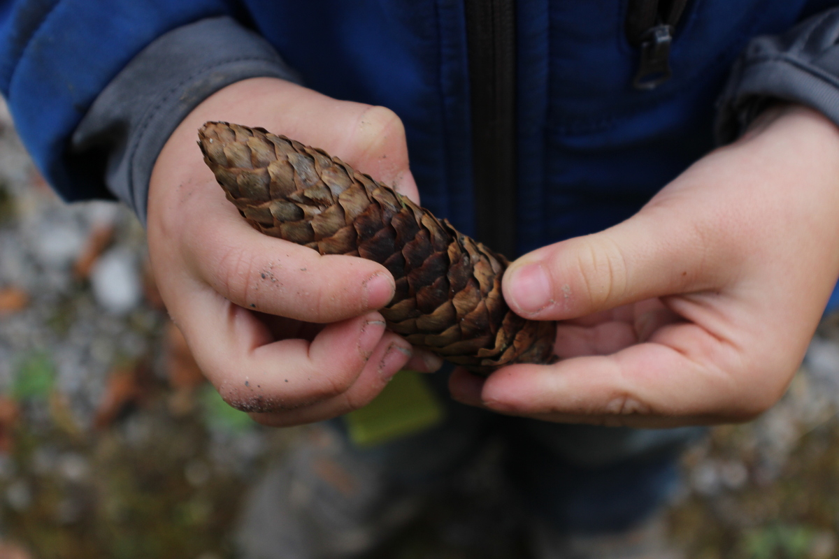 Natur erkunden