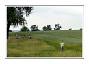Wandertag..