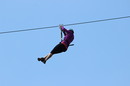 Flying Fox