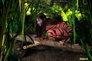 Bodypainting