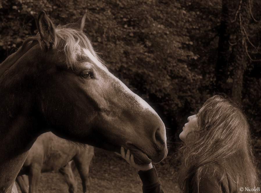 Freundschaft