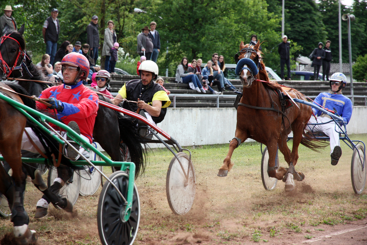 Pfingspferderennen in Neustadt an der Donau 2017 [Action Pur]