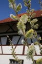 Fotos_Blumen