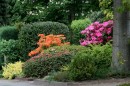 Fotos_Blumen