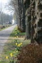Fotos_Blumen