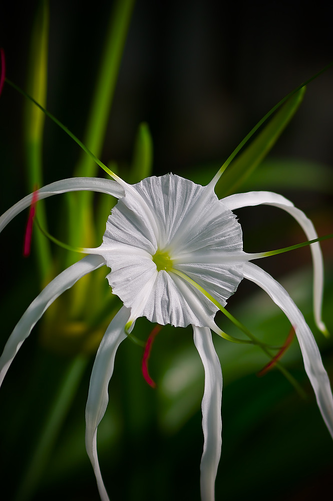 Lieber Gruß am Morgen :o)