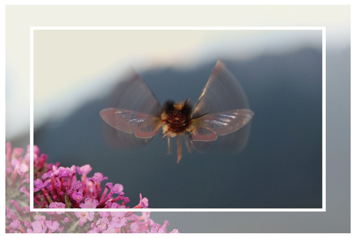 Kraftwerk der Schnelligkeit!
