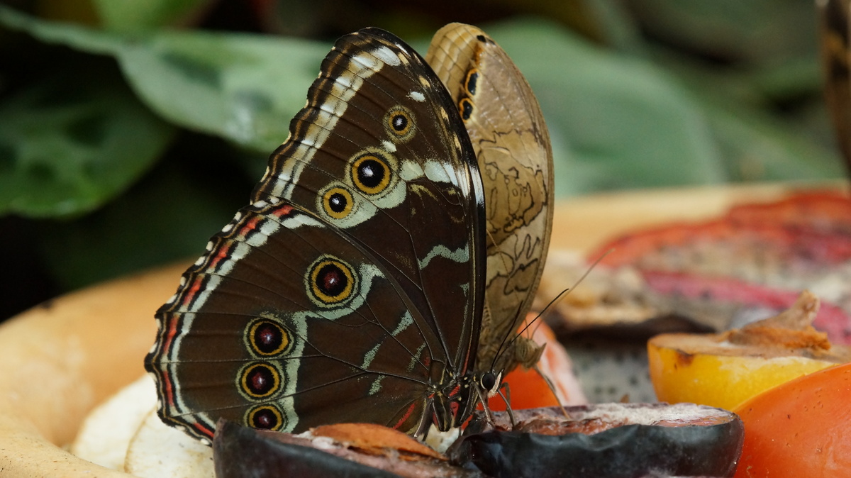 na da lasst es euch mal schmecken