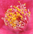 Im botanischen Garten 2