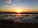 Sylt